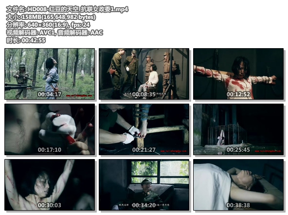 HD008-红豆的天空_抗联女政委1