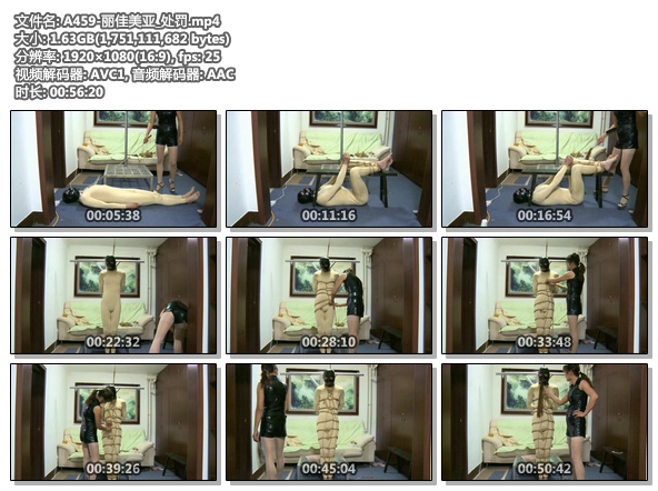 A459-丽佳美亚_处罚