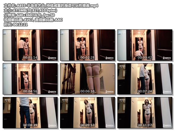 A855-半岛束艺台_持续减重的海语可玩性提高