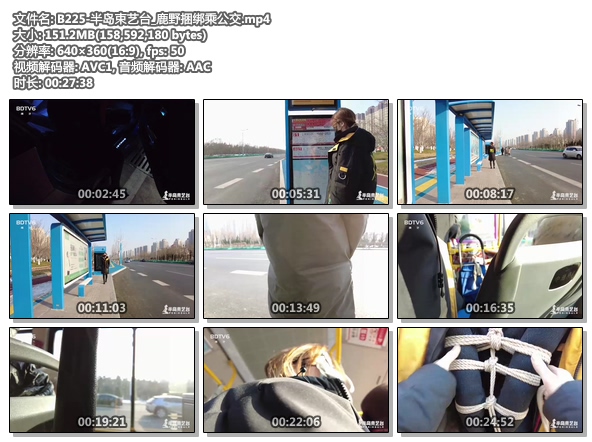 B225-半岛束艺台_鹿野捆绑乘公交