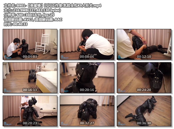 B901-【泉蜜蜂】闪闪工作室 乳胶全包K9人形犬