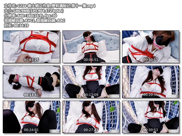 C234-嗷大喵工作室_萝莉遇险记 第十一集