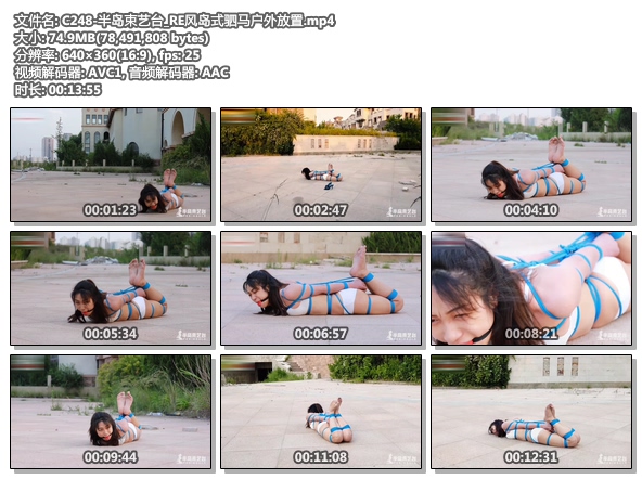 C248-半岛束艺台_RE风岛式驷马户外放置