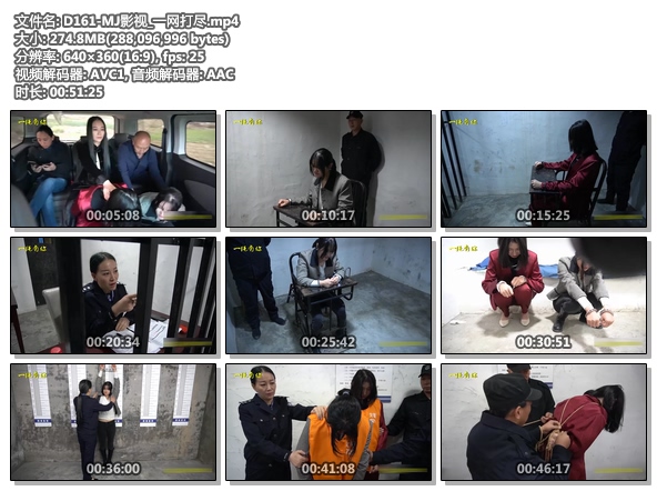 D161-MJ影视_一网打尽