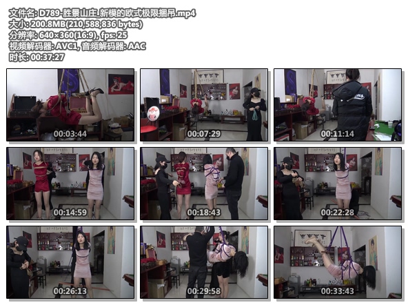 D789-胜景山庄_新模的欧式极限捆吊