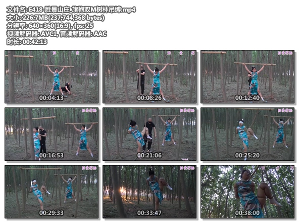 E418-胜景山庄_旗袍双M树林吊缚