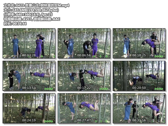 E423-胜景山庄_树林里的双M