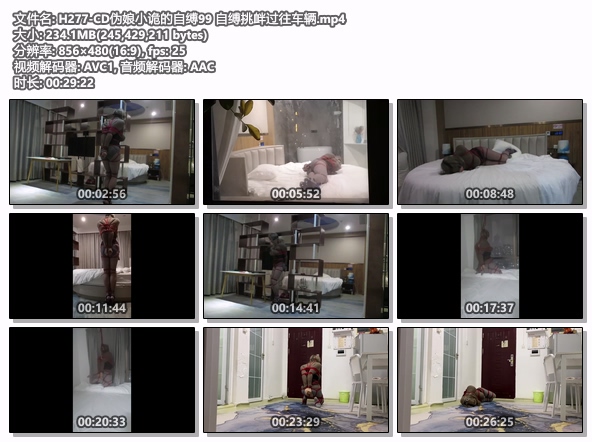 H277-CD伪娘小诡的自缚99 自缚挑衅过往车辆