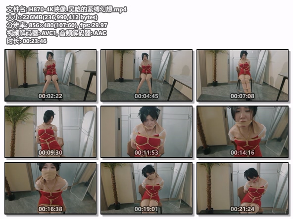 H870-4K映像_吴晗的紧缚幻想