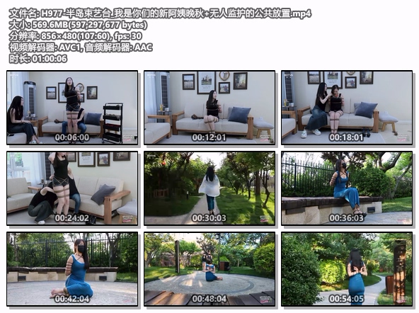 H977-半岛束艺台_我是你们的新阿姨晚秋+无人监护的公共放置