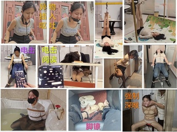 ⭐王宁 慧慧⭐原名就是王宁原创     女主叫慧慧 非常不错的调教视频  开始更新至2026年5月4号，70部 36小时
